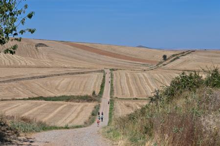 Camino 1